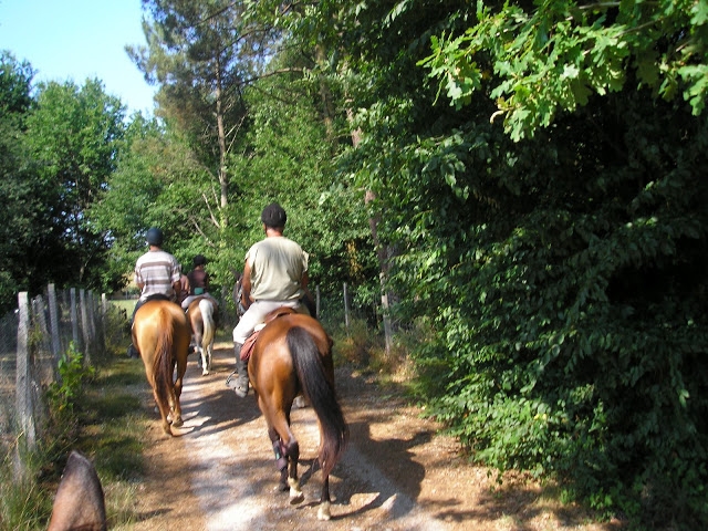  Cavalcata al trotto 